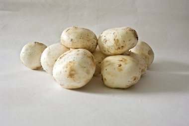 Beyaz arka planda güzel mantarlı yiyecekler tatmak