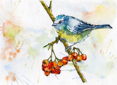 Titmouse sitting on a rowanberries tree clipart