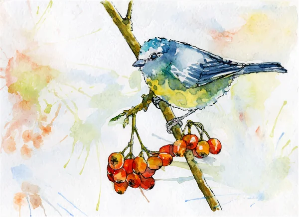 Titmouse sentado en un árbol de rowanberries — Archivo Imágenes Vectoriales