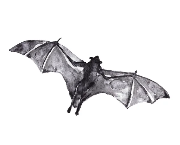 Acuarela ilustración de un murciélago — Foto de Stock