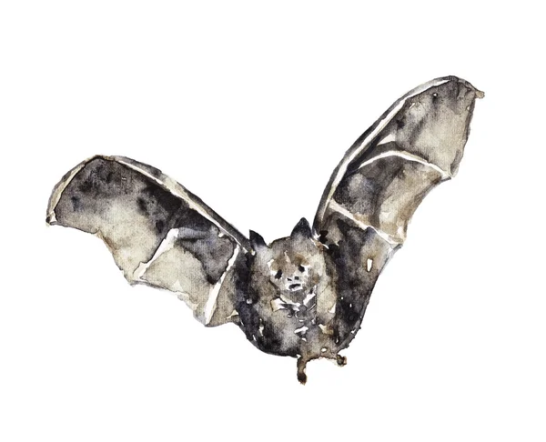 Acuarela ilustración de un murciélago — Foto de Stock