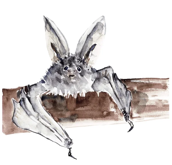Акварельна ілюстрація кажана — стокове фото