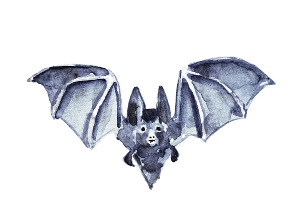 Watercolor illustration of a bat — Stock Photo, Image