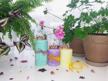 El yapımı soya mumları, bitkiler ve kristallerle.