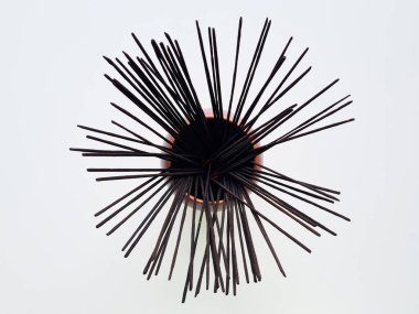 Ev, kaplıca ve kuaför için aroma çubukları.