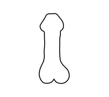 Erkek üreme organının vektör illüstrasyonu