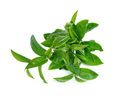 Beyaz arkaplanda yeşil çay yaprağı izole