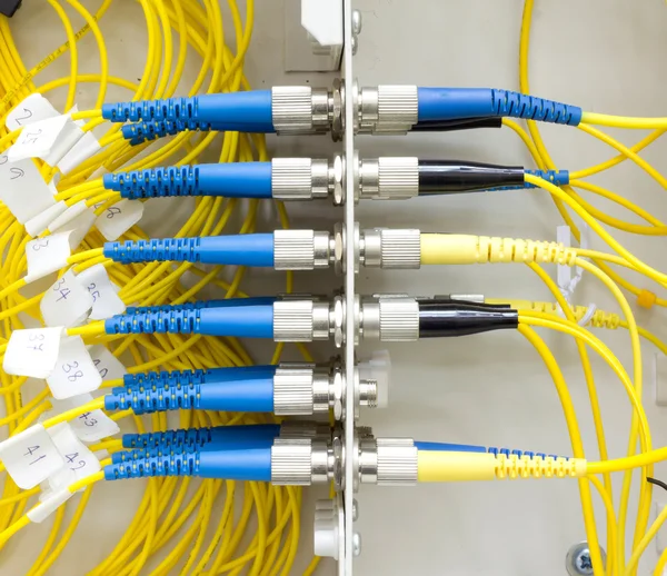 Cable de conexión de fibra óptica en caja de pared — Foto de Stock