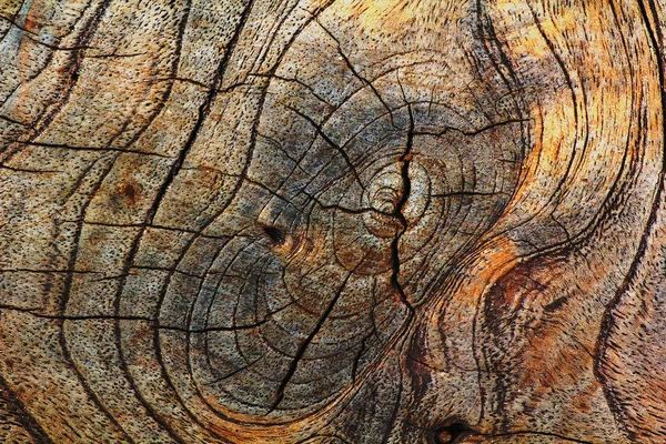 Eski ahşap doku arka plan kesmek