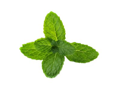 Beyaz arkaplanda taze nane