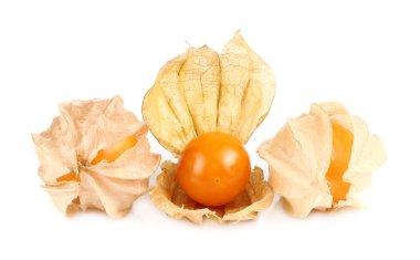 Physalis meyve, Cape üzerine beyaz izole meyve berry