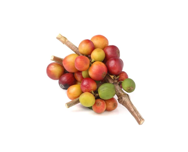 Beyaz arka plan üzerinde izole taze çiğ kahve çekirdekleri