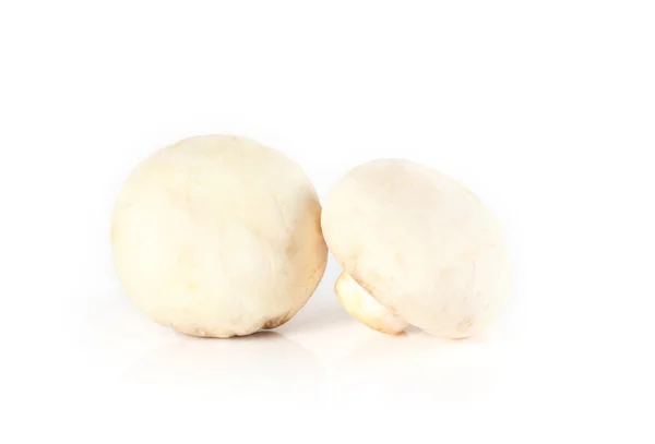 Pilze und rohe Pilze isoliert auf weißem Hintergrund — Stockfoto