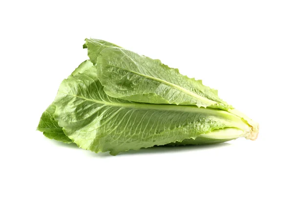 COS салату, салат-латук, ізольовані на білому тлі — стокове фото