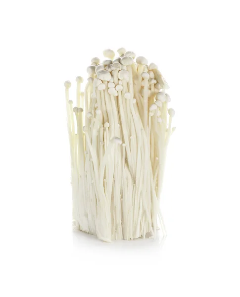 enoki mantar, altın iğne mantar izole beyaz backgro