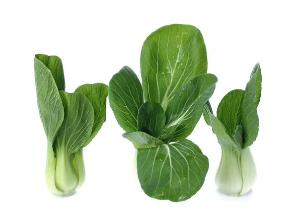 Bok choy (Chinese cabbage or Qing geng cai) isolated on white — стоковое фото