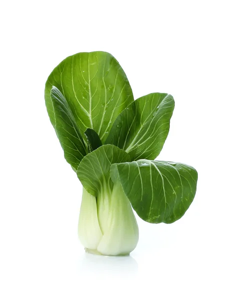 Bok choy (cavolo cinese o Qing geng cai) isolato su bianco Foto Stock