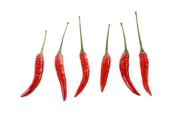 Κόκκινες καυτερές πιπεριές τσίλι απομονωμένες σε λευκό φόντο — Φωτογραφία Αρχείου