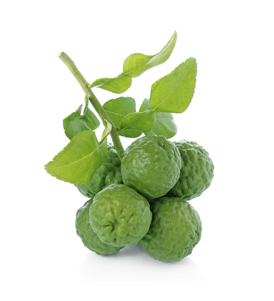 Narenciye hystrix, Bergamot meyve, Güney Afrika'da bir kabile kireç, sülük kireç Isola