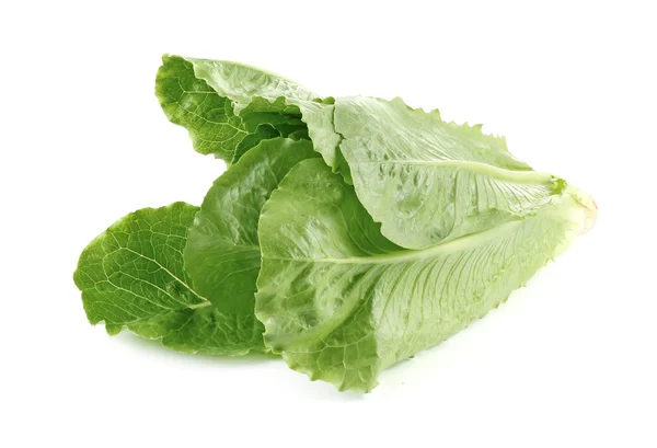 Cos Lettuce, Romaine Lettuce isolated on white — Stock Photo, Image