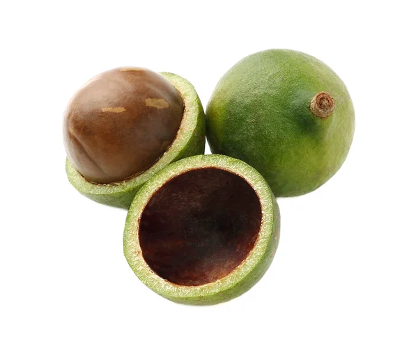 Beyaz arka planda Macadamia fındıkları