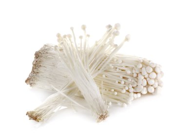 Enoki mantar, altın iğne mantar beyaz