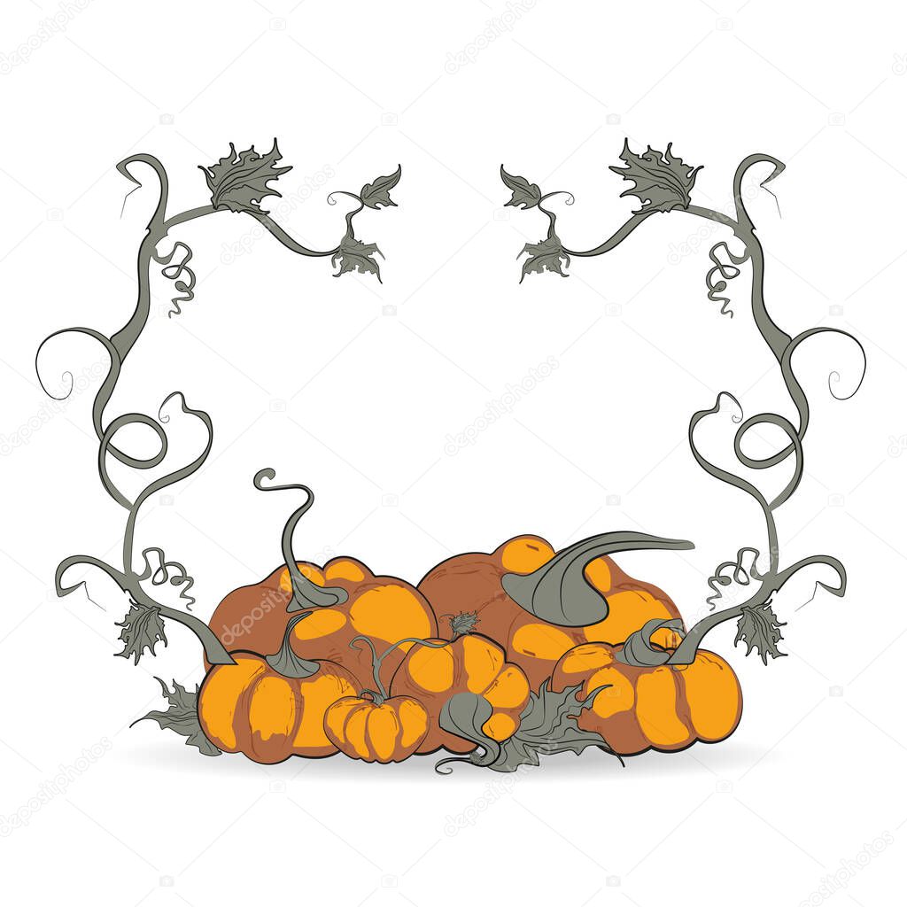 Autumn card, orange pumpkins, October harvest, vector background. Vector illustration
