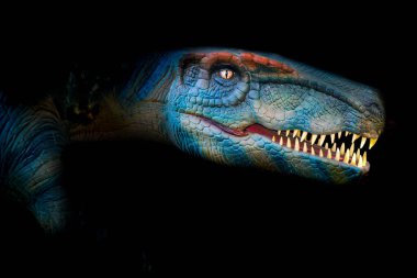 Karanlık arka plandaki dinozorun başı. Tyrannosaurus Rex ya da T-Rex, Kretase döneminde yaşamış, Coelurosaurian Theropod dinazorunun etobur bir cinsidir. Yüksek kalite fotoğraf