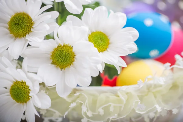 Великодня подарункова кошик з білими квітами та кольоровими яйцями на дерев'яному фоні весняне натхнення — стокове фото