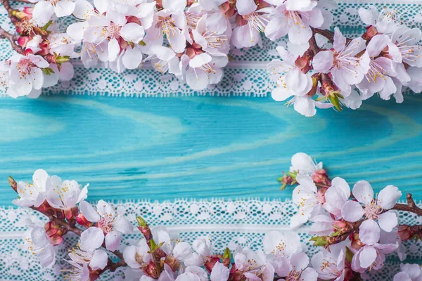 Wiosenne kwiaty kwitnąć morela na niebieskim tle drewniane Obraz Stockowy