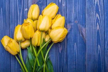 çiçek Lale buketi üzerinde mavi backgraund sarı