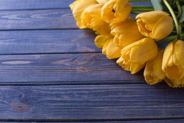 Flowers tulips yellow bouquet on blue backgraund — Stock Photo, Image