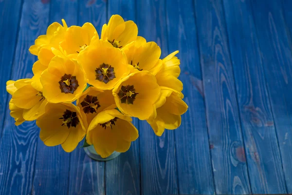 Żółte kwiaty tulipany bukiet na niebieski backgraund Zdjęcie Stockowe