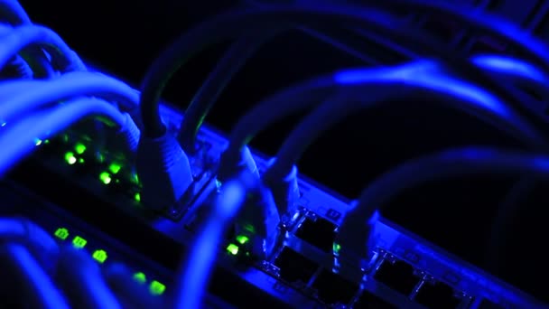 Ethernet üzerinden yönlendirici yönlendirme verileri — Stok video