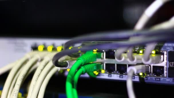 Cables en el servidor de red — Vídeos de Stock