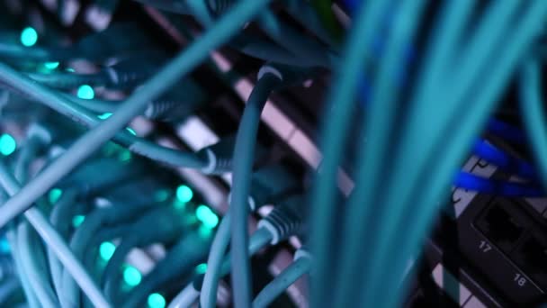 Kabel pada server jaringan — Stok Video