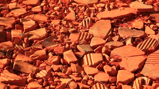 Шматочки червоної глини — стокове відео