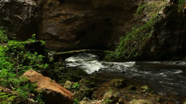 Поток течет через каньон — стоковое видео