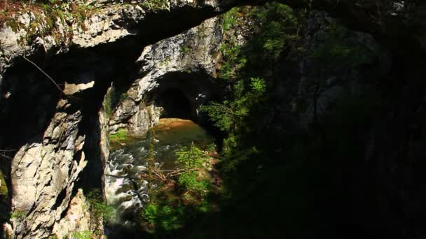 Bach fließt durch Schlucht — Stockvideo