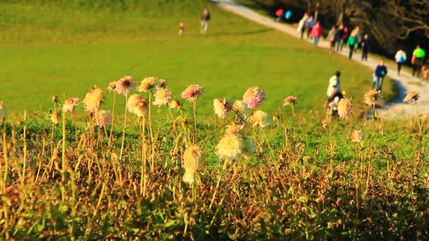 Menschen auf der Bergstraße — Stockvideo