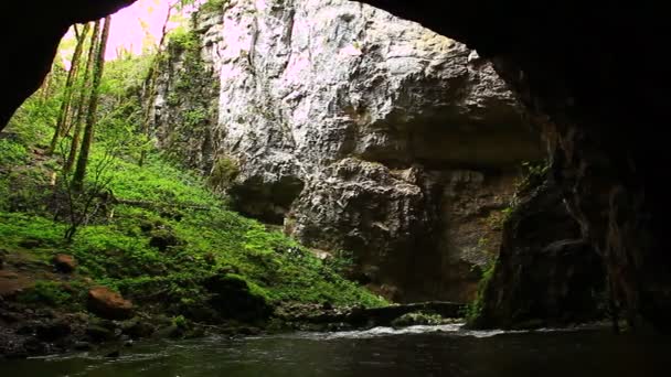 Stream kör genom canyon — Stockvideo