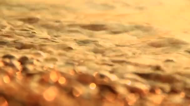 Kamienistej plaży o zachodzie słońca — Wideo stockowe