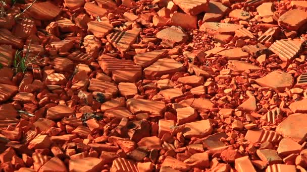 Pieces of red clay — Stock Video