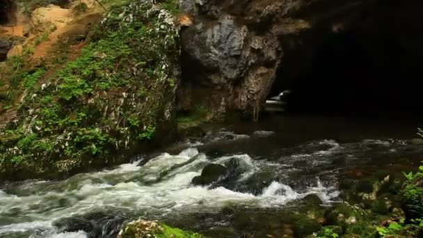 Bach fließt durch Schlucht — Stockvideo