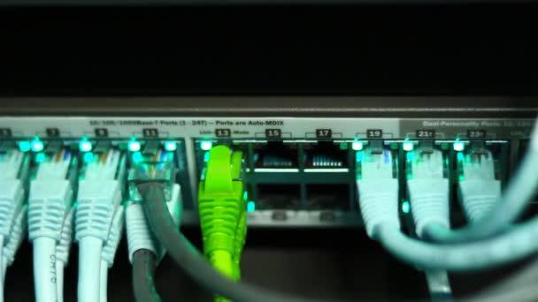 Cables en el servidor de red — Vídeo de stock