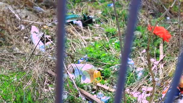 Basura cerca de la valla — Vídeos de Stock