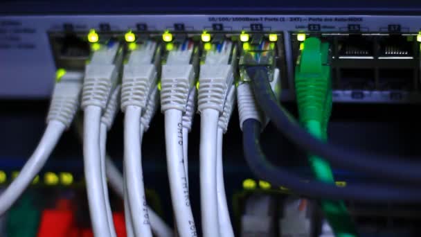 Kable na sieć serwerów — Wideo stockowe