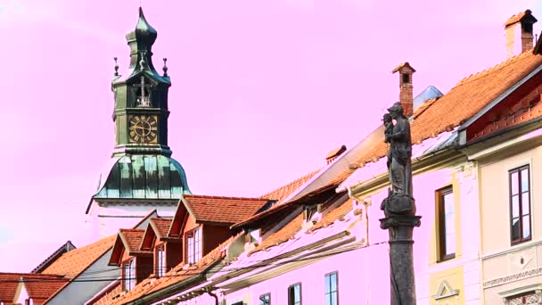 Toits des bâtiments en Slovénie — Video