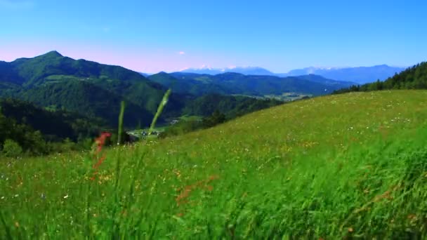 Wiese und Berge an sonnigem Tag — Stockvideo