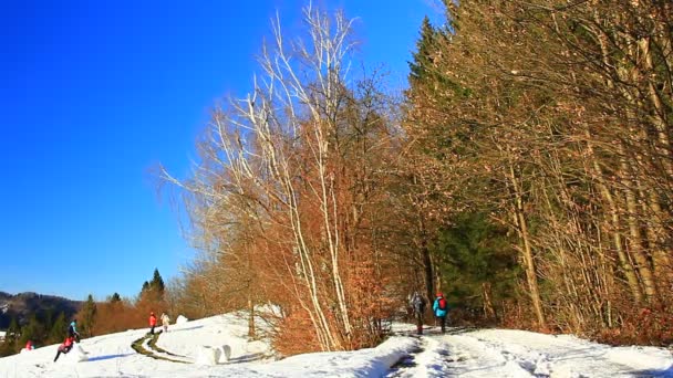 Зимовий пейзаж з людьми — стокове відео